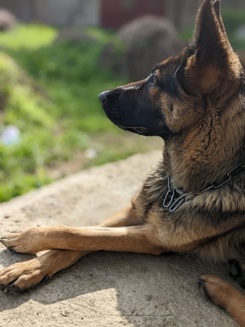 Awesome picture taken by me.