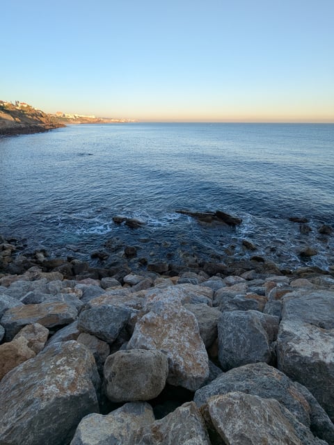 Awesome picture taken by me.