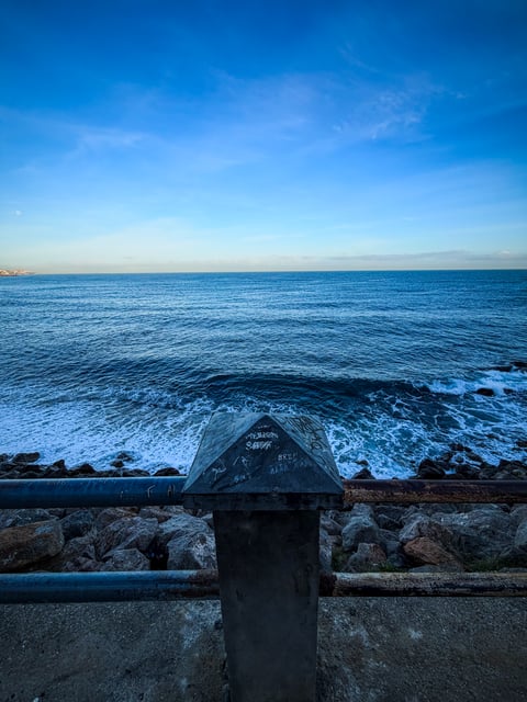 Awesome picture taken by me.